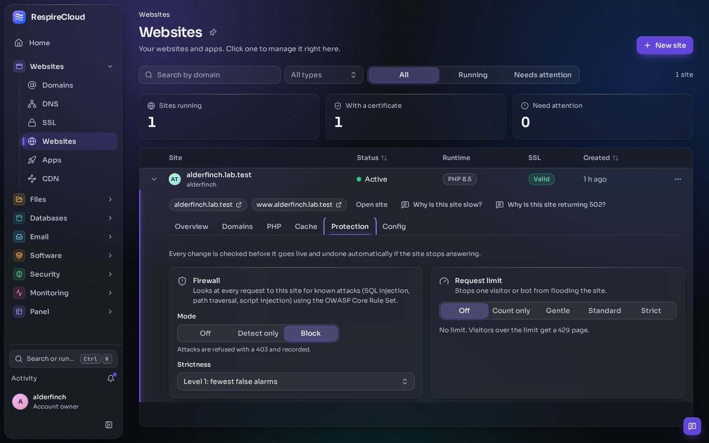 The Websites page with one site opened on its Protection tab: a firewall with Off, Detect only and Block modes and a strictness level, and a request limit with Off, Count only, Gentle, Standard and Strict.