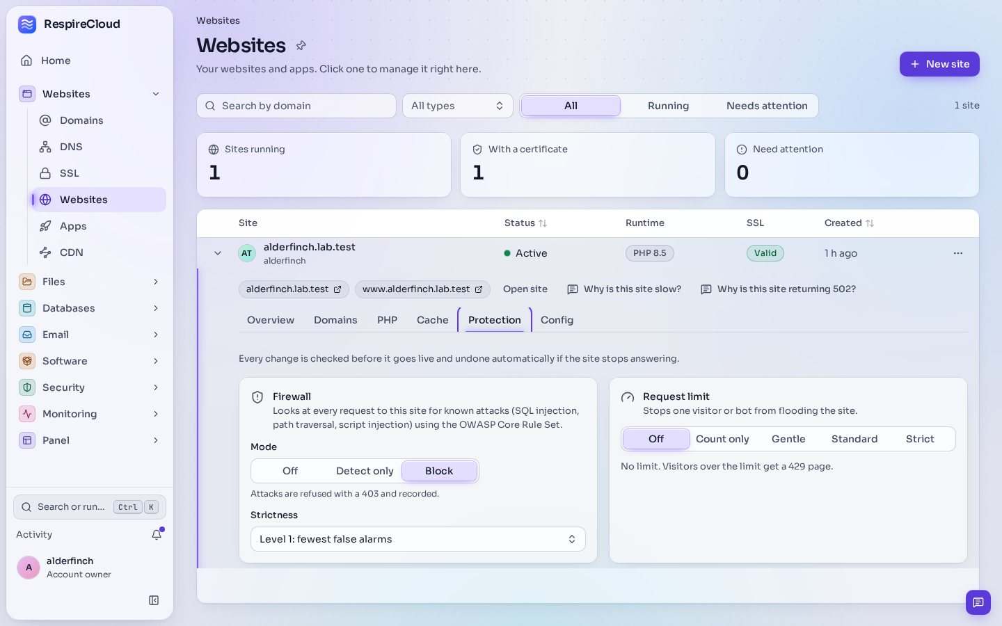 The Websites page with one site opened on its Protection tab: a firewall with Off, Detect only and Block modes and a strictness level, and a request limit with Off, Count only, Gentle, Standard and Strict.